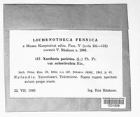 Image Associated With the Occurence